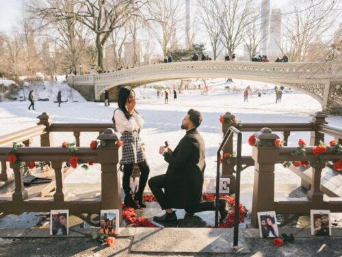 Iffy and Reema engagement in Central Park