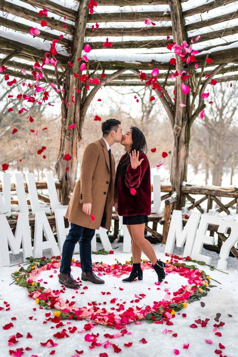 Snow day magical proposal in Central Park