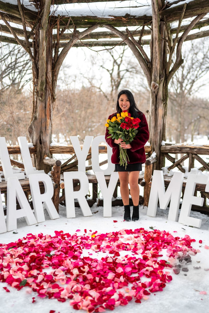 Snow day magical proposal in Central Park