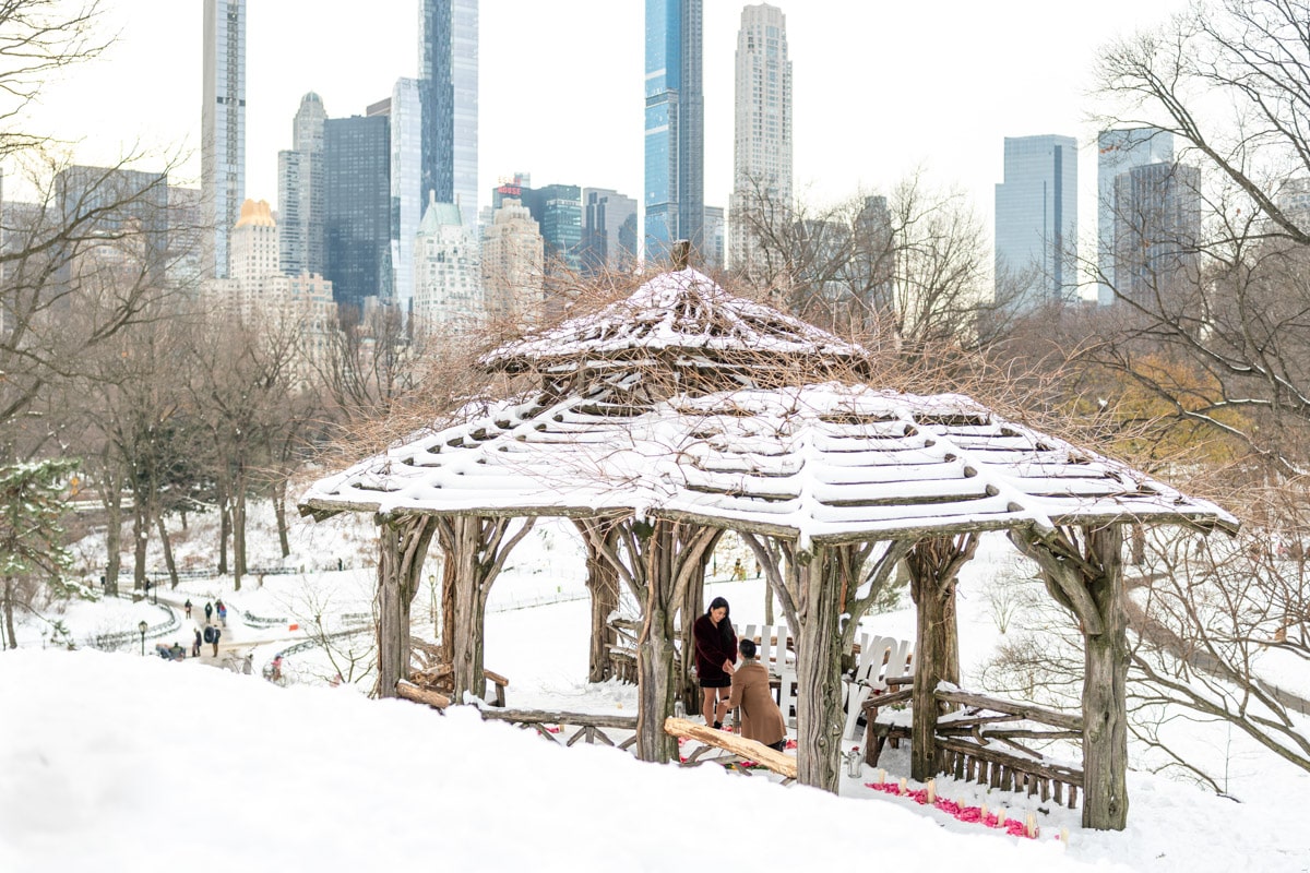 Snow day magical proposal in Central Park