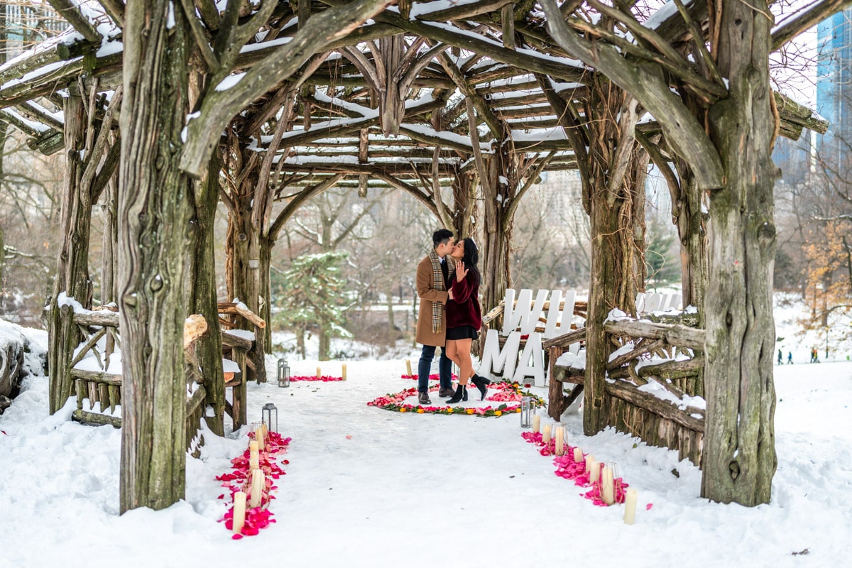 Snow day magical proposal in Central Park