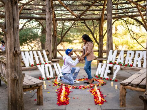 Spring engagement in Central Park