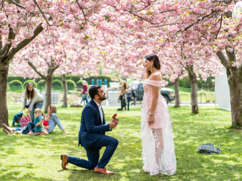 Spring proposal ideas in New York