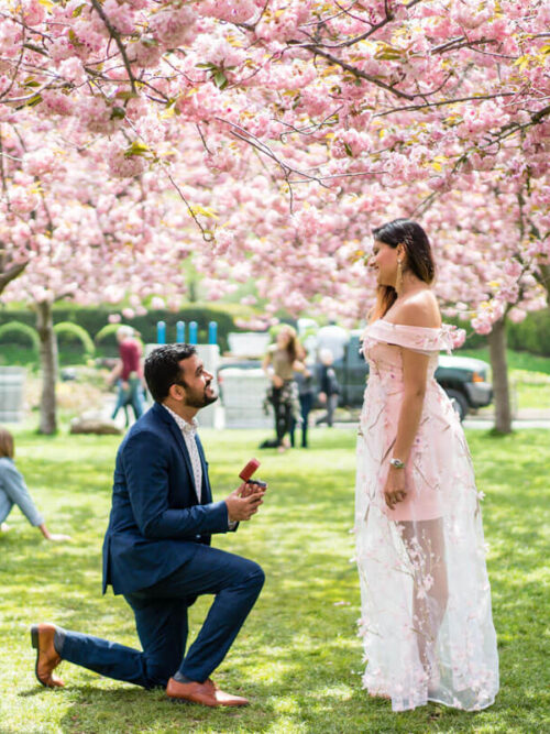 Spring proposal ideas in New York