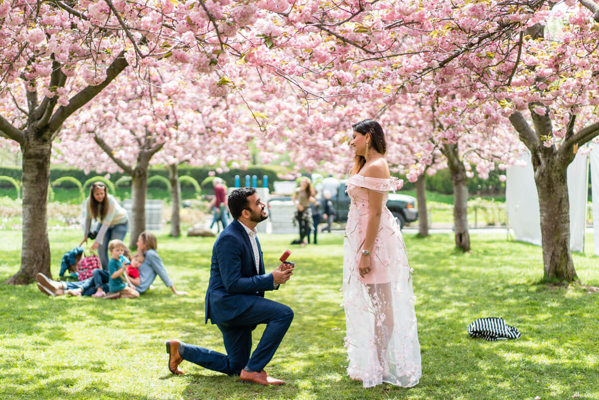 Spring proposal ideas in New York