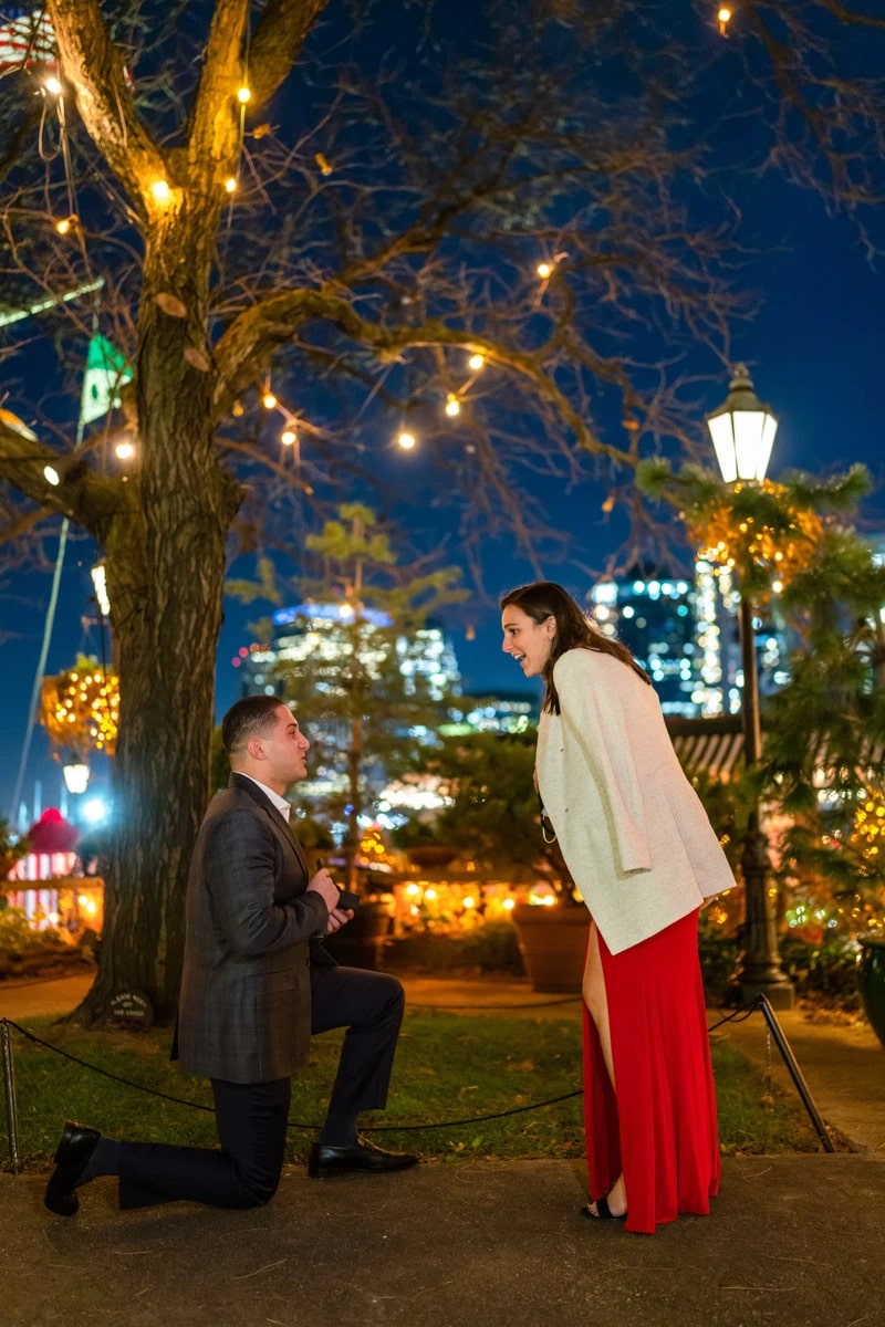 Where to propose in Dumbo, Brooklyn?