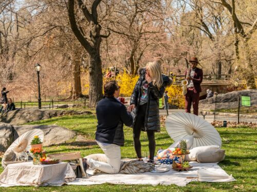 Picnic season is officially started. Best spots in Central Park for a romantic picnic proposal