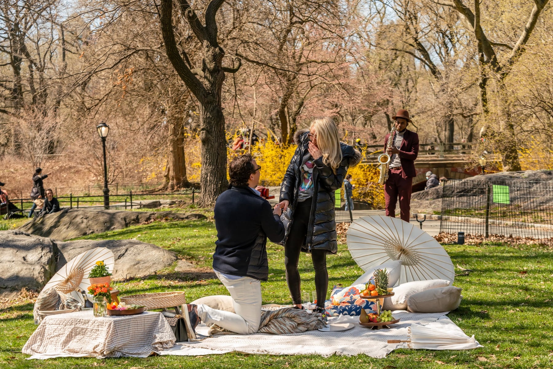 Picnic season is officially started. Best spots in Central Park for a romantic picnic proposal