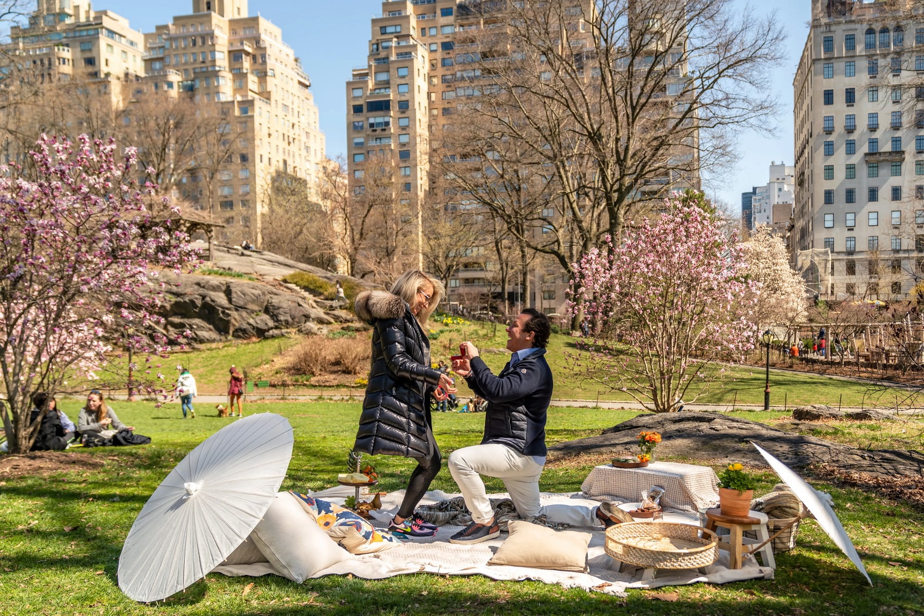 Picnic season is officially started. Best spots in Central Park for a romantic picnic proposal