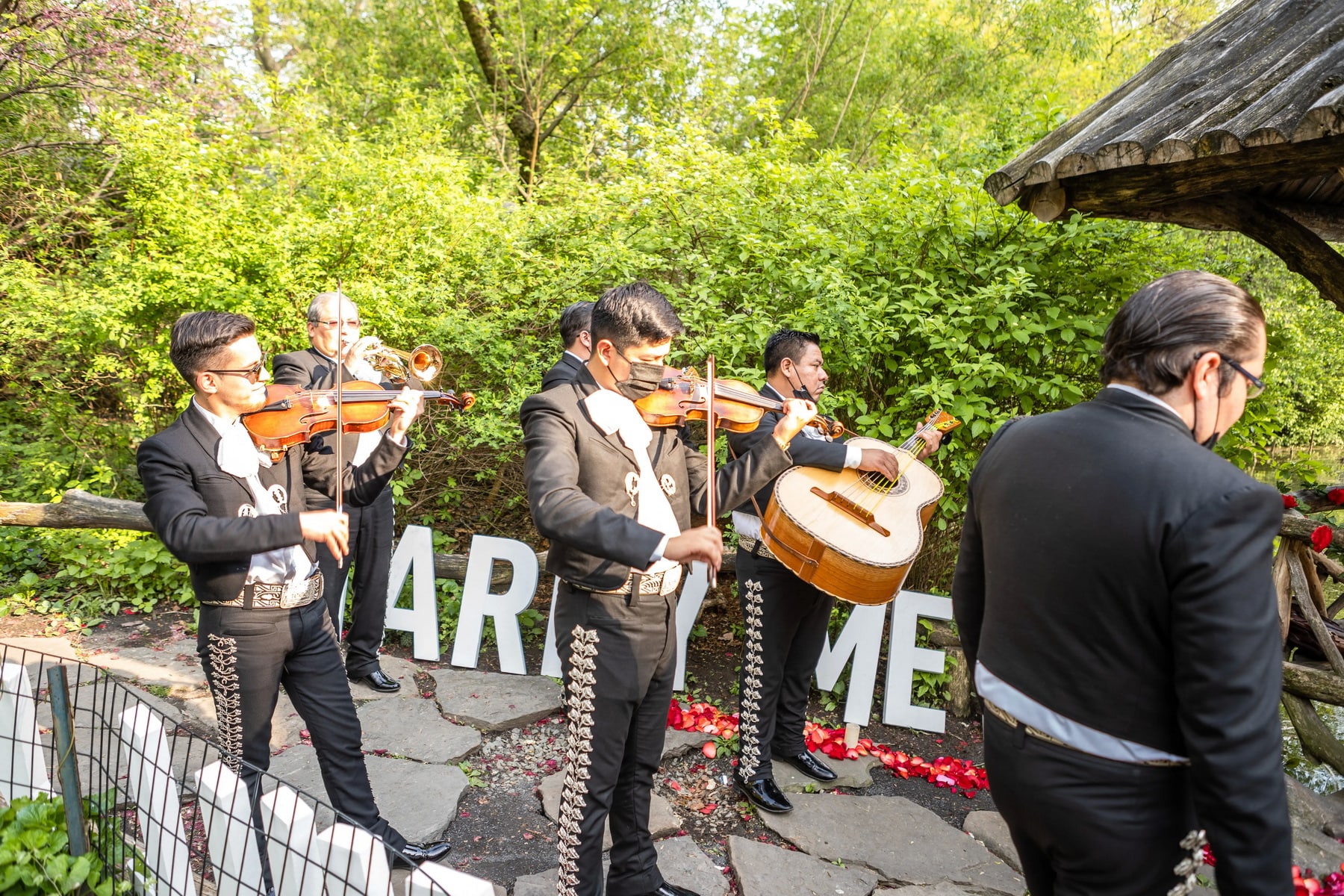 Mariachi Band marriage proposal