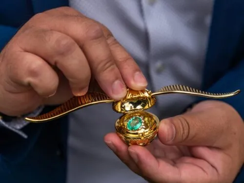 From muggle to Mrs: Harry Potter inspired marriage proposal