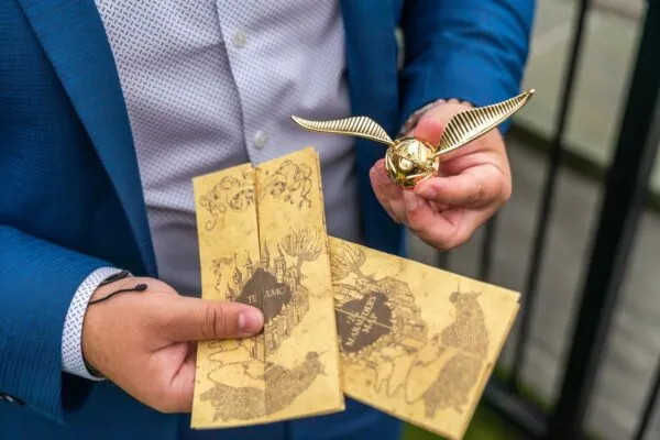 From muggle to Mrs: Harry Potter inspired marriage proposal