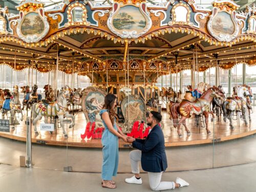 How to propose at the carousel?