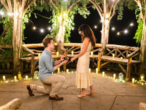 Why you need to propose on a weekday in Central Park?