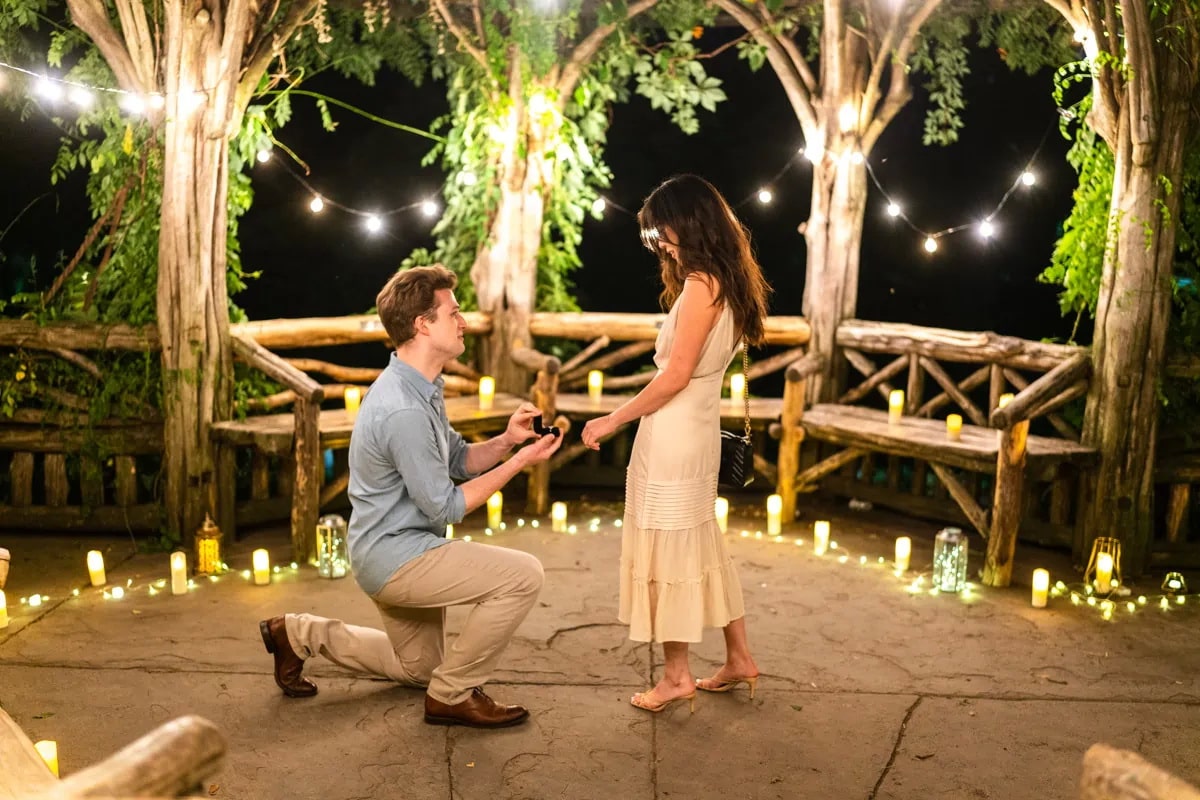 Why you need to propose on a weekday in Central Park?