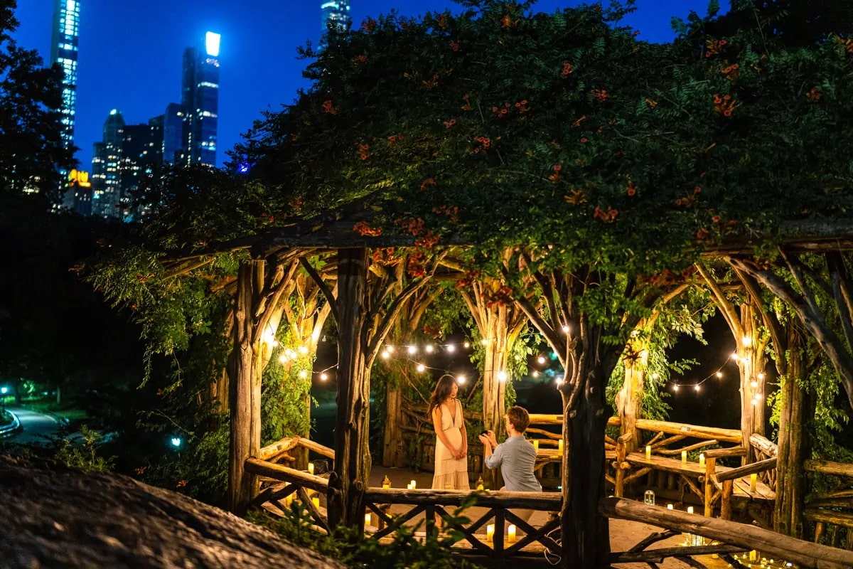 Why you need to propose on a weekday in Central Park?