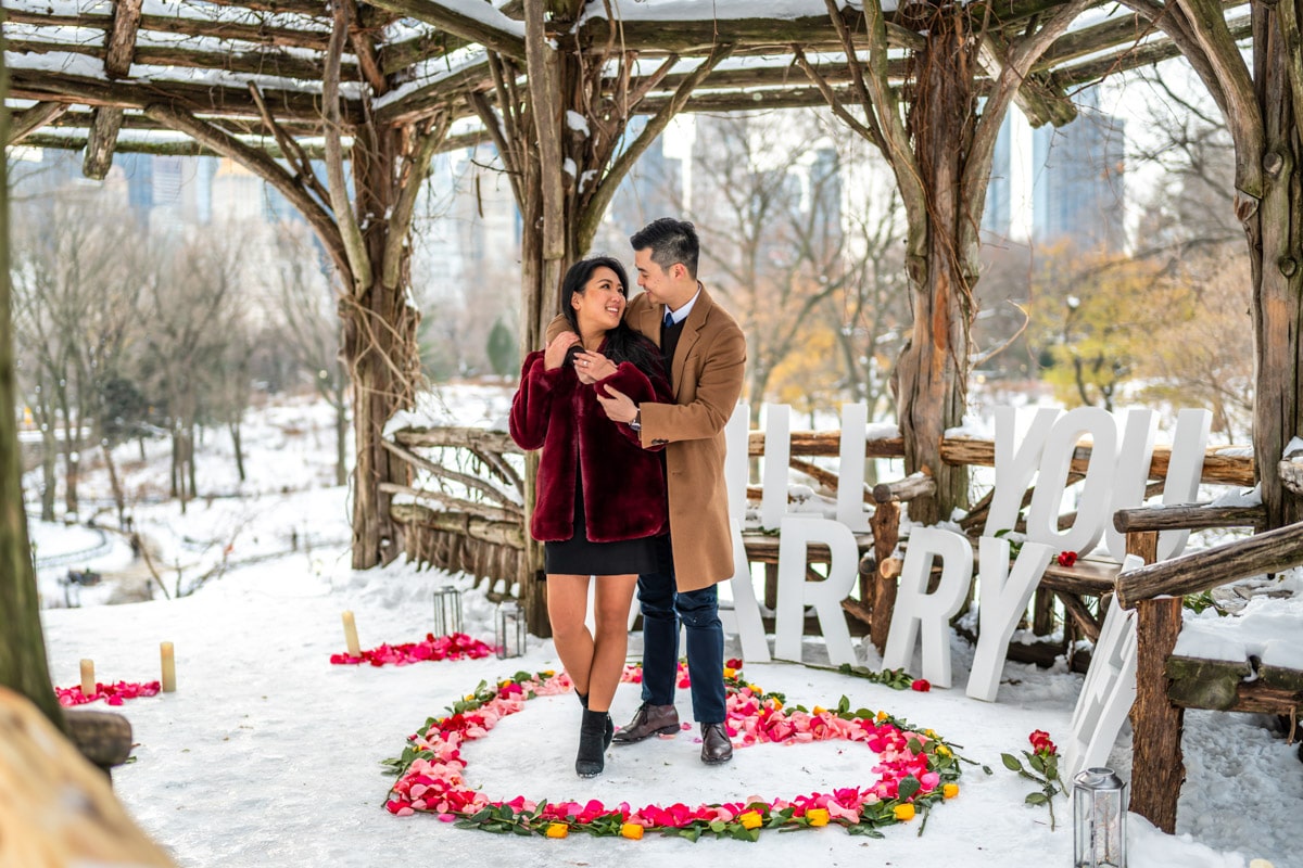 Christmas Proposal in New York