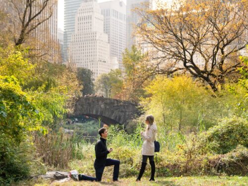 Perfect fall proposal ideas in New York