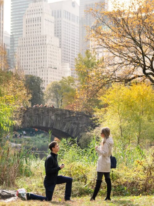 Perfect fall proposal ideas in New York