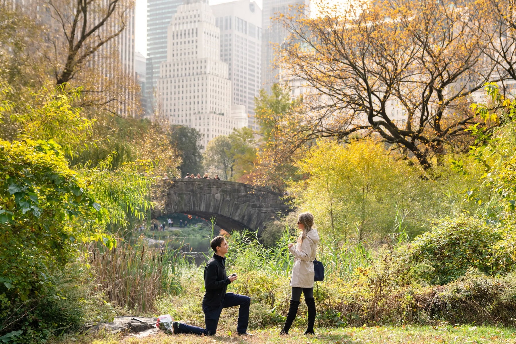 Perfect fall proposal ideas in New York