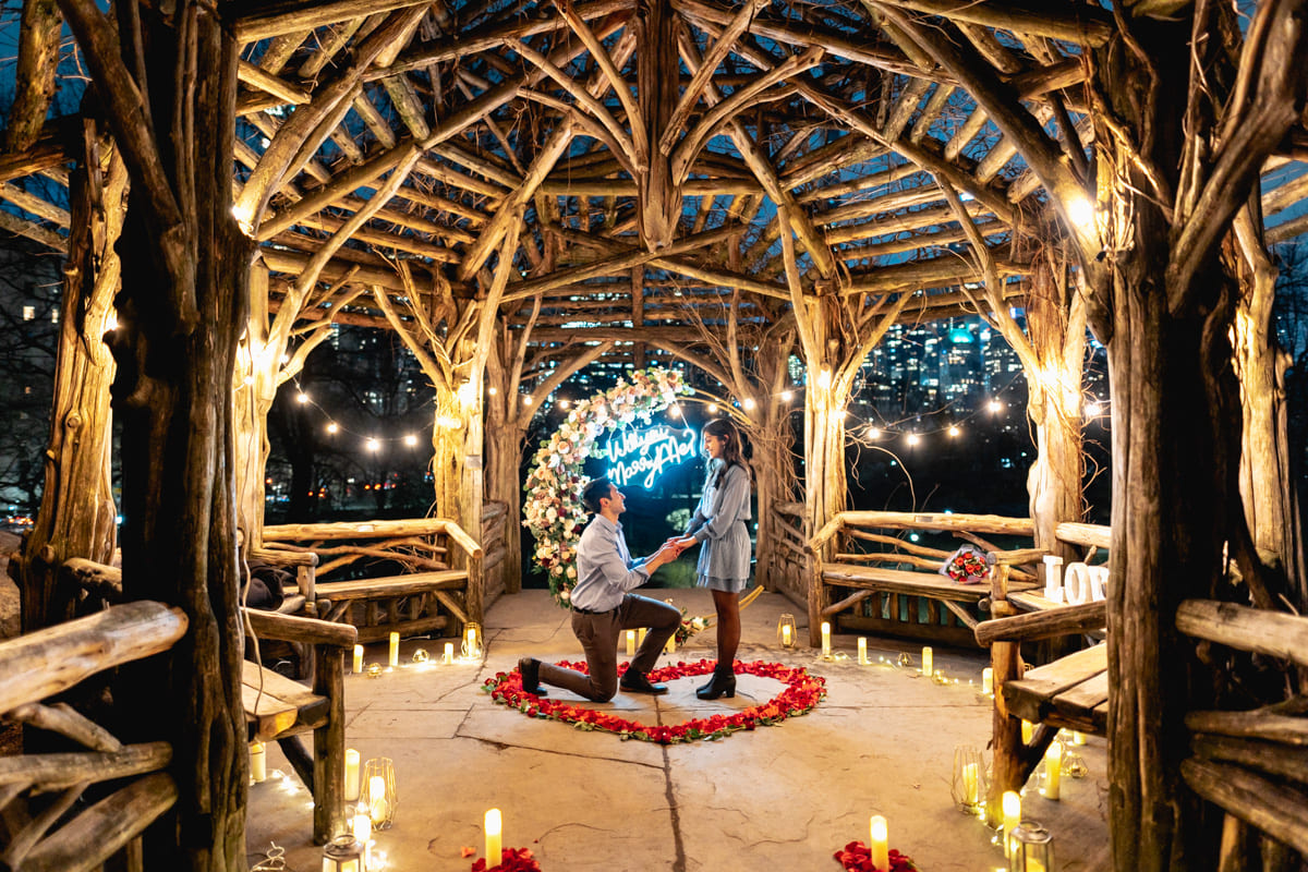 New York City proposal ideas: Romantic proposal in the park