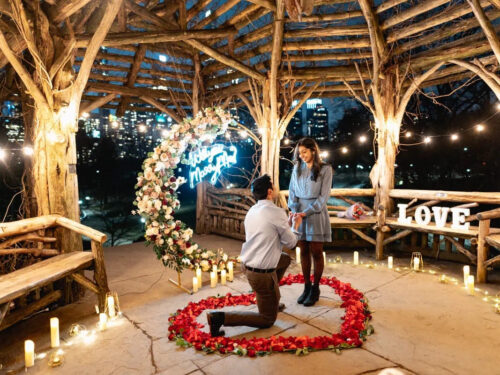 New York City proposal ideas: Romantic proposal in the park