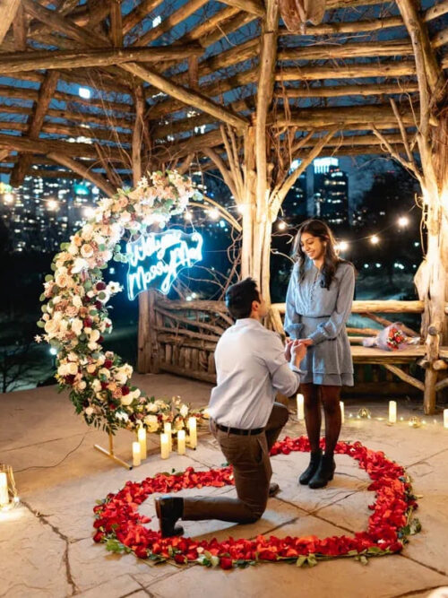 New York City proposal ideas: Romantic proposal in the park