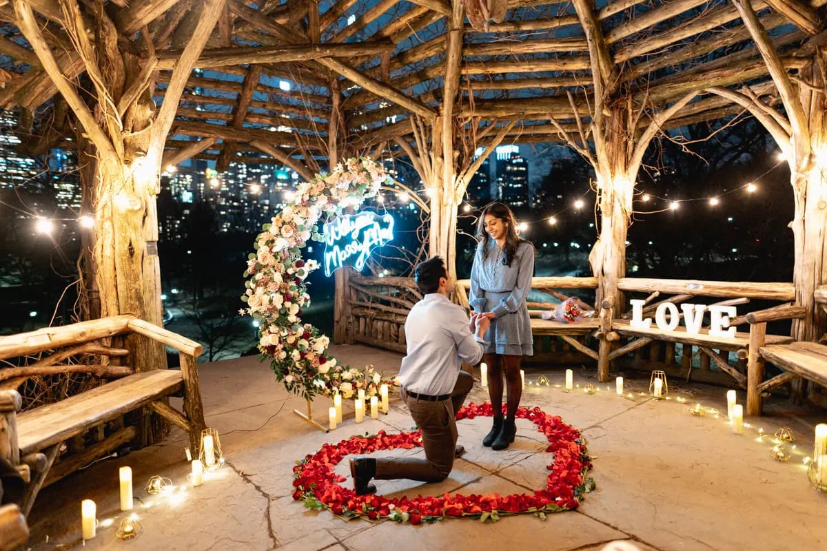 New York City proposal ideas: Romantic proposal in the park