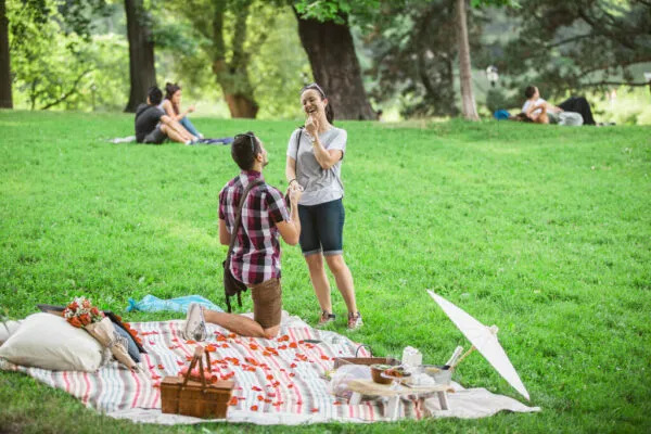 picnic-proposal-in-central-park