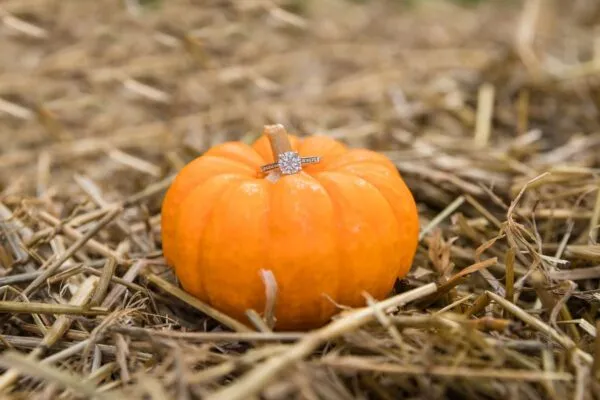 Thanksgiving Day marriage proposal do and don'ts