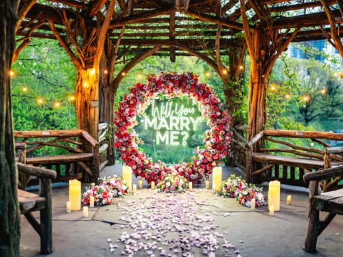 Where to propose in Central Park? Public and less public locations.