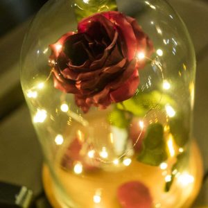 Red rose under a glass dome wrapped with warm fairy lights, glowing against a dark background