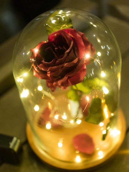Red rose under a glass dome wrapped with warm fairy lights, glowing against a dark background
