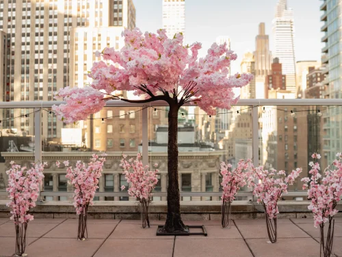 Proposal 007 — New York photographer
