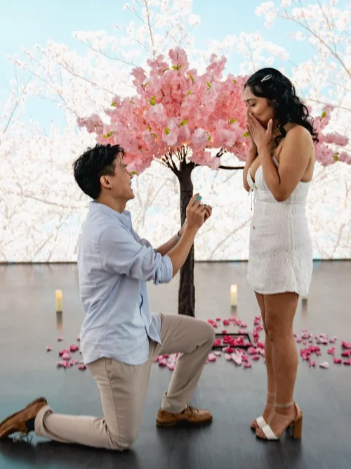 Man kneeling to propose to a woman in a white dress before a pink blossom tree and a projected blossom wall