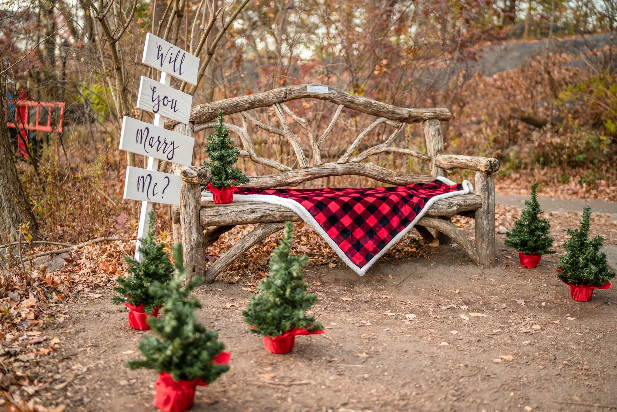 Rustic twig bench with a red plaid blanket, potted mini trees and a Will You Marry Me sign among autumn leaves
