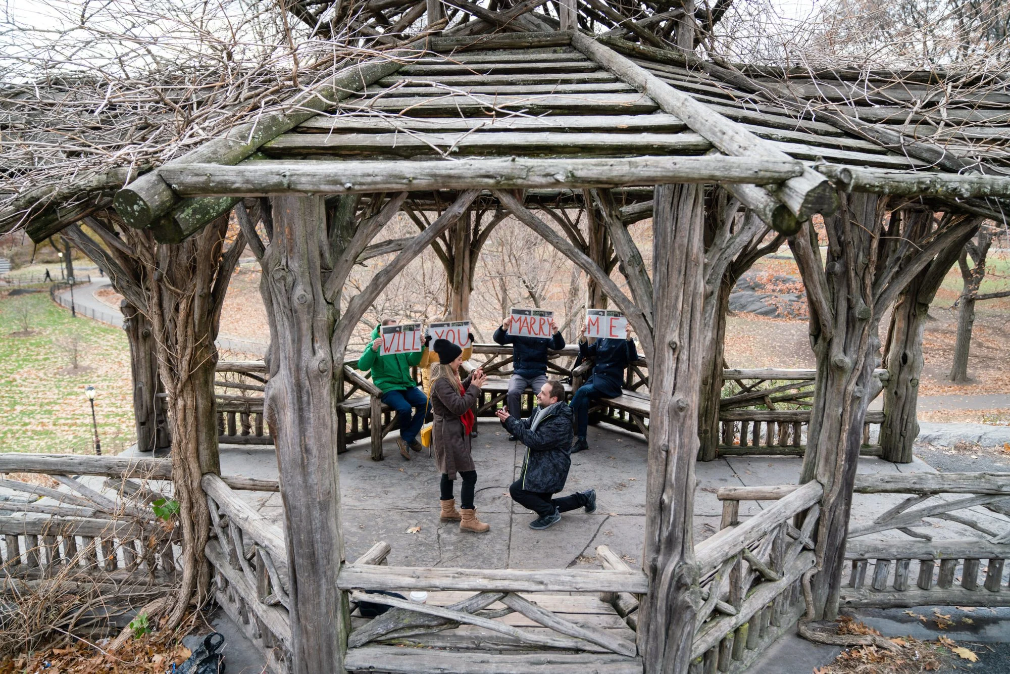 Wide view of a man on one knee in a rustic Central Park gazebo with friends behind holding Will You Marry Me signs